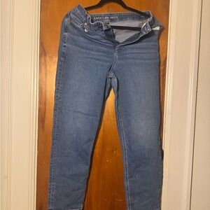 American Eagle Outfitters Women's Classic Blue Skinny Jeans